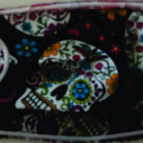 FACEMASK - NON-MEDICAL HOMEMADE MASK -2-PLY CLOTH - WASHABLE- SUGAR SKULLS Thumbnail