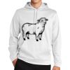 Sport Wick ® Fleece Hooded Pullover Thumbnail